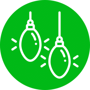 Christmas Light Installation